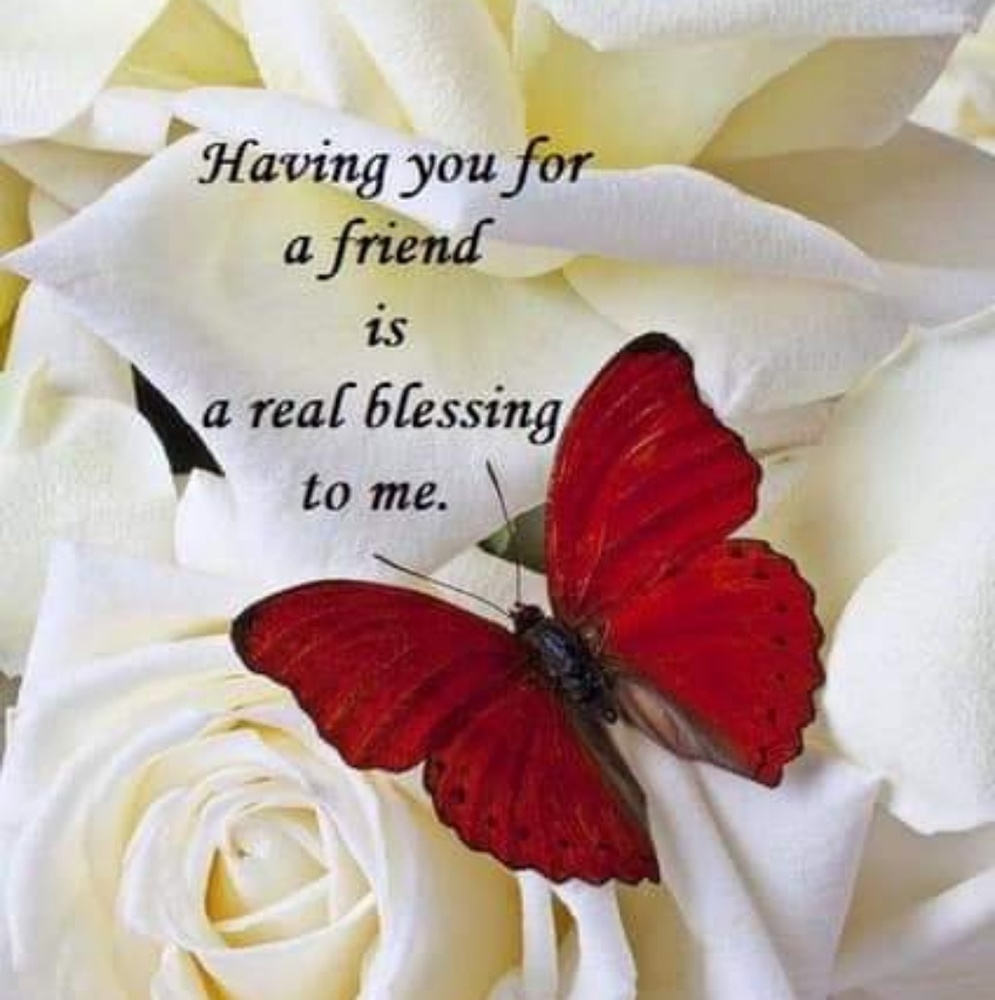 Meet your Posher, Gary